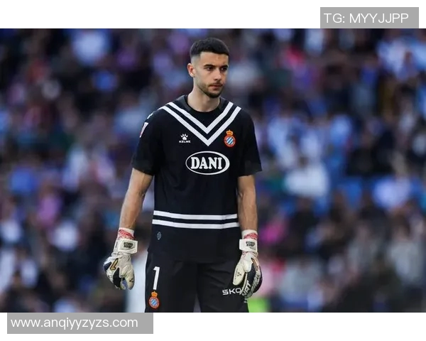 足球巨星的崛起与辉煌背后那些鲜为人知的奋斗历程与传奇故事