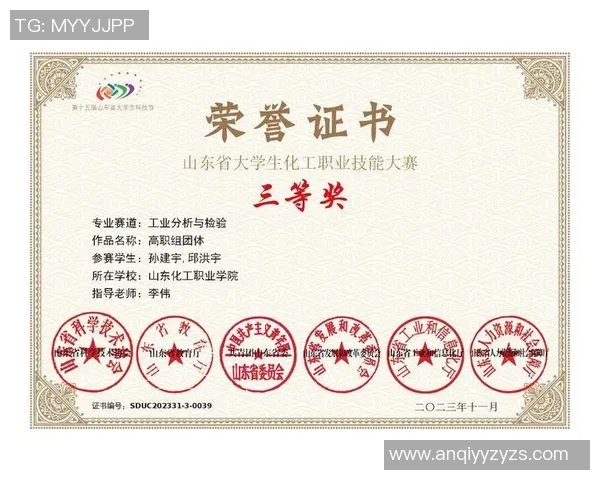 足球球星参赛证的作用解析及其对赛事的重要影响